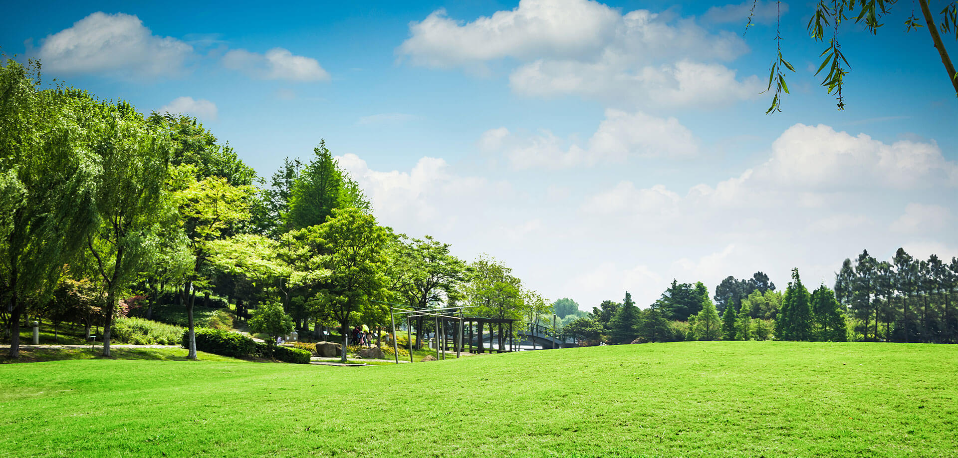 Lake Terraces amenities Landscape garden